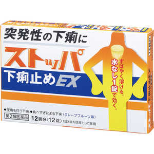 LION 【第2類医薬品】 ストッパ下痢止めEX(12回分)〔下痢止め〕 LION 【第2類医薬品】 ストッパ下痢止めEX(12回分)〔下痢止め〕