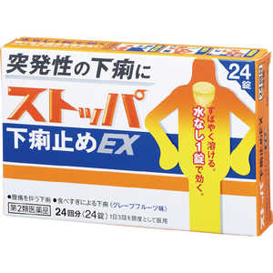 LION 【第2類医薬品】 ストッパ下痢止めEX(24回分)〔下痢止め〕 LION 【第2類医薬品】 ストッパ下痢止めEX(24回分)〔下痢止め〕