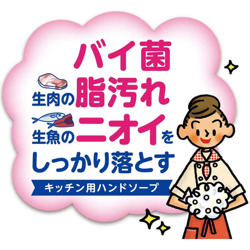 Lion キレイキレイ 薬用キッチン泡ハンドソープ 本体 230ml キレイキレイキッチンアワhs 230 の通販 カテゴリ 日用品 化粧品 医薬品 Lion 家電通販のコジマネット 全品代引き手数料無料