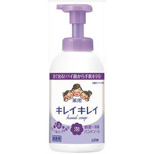 ライオンハイジーン キレイキレイ 泡ハンドソープフローラルソープ550ml〔ハンドソープ〕 ライオンハイジーン キレイキレイ 泡ハンドソープフローラルソープ550ml〔ハンドソープ〕