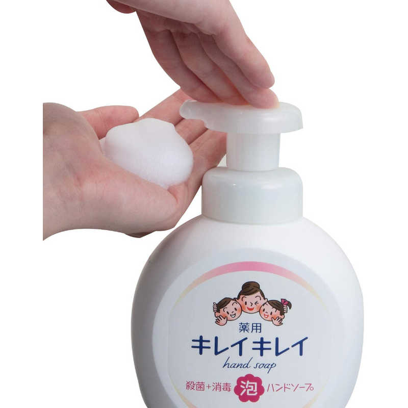 LION キレイキレイ 薬用泡ハンドソープ 本体大型 の通販 | カテゴリ：日用品・化粧品・医薬品 | LION 家電通販のコジマネット -  全品代引き手数料無料