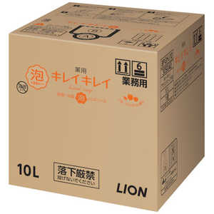 LION ライオン キレイキレイ薬用泡ハンドソープ フルーツミックスの香り10L BPGHJ10