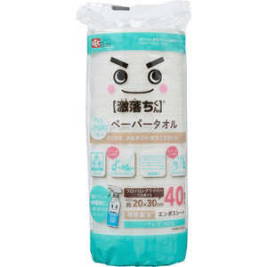 レック 激落ちくん ふき掃除ペーパー大判 レック 激落ちくん ふき掃除ペーパー大判