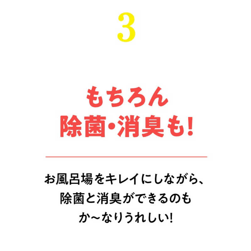 リンレイ リンレイ ウルトラハードクリーナー バス用 防カビプラス  