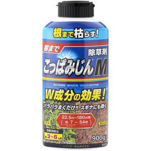 �������Υ��� ����� (����) ���äѤߤ���M (900g)