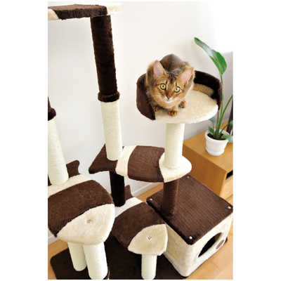 ペティオ アドメイト 猫のおあそびポール お魚ファミリー ミドルタイプ 猫用 キャットタワー キャットハウス 組立式