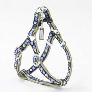 �ڥƥ��� ����������ϡ��ͥ� S (�֥롼) [�ڥå�����]