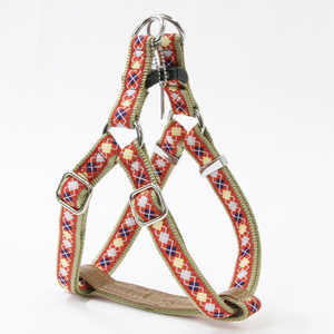 �ڥƥ��� ����������ϡ��ͥ� M (��å�) [�ڥå�����]