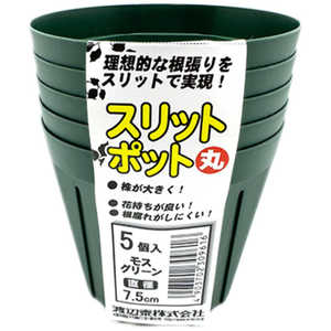 渡辺泰 スリットポット5個入 丸 7.5cm スリットポット5コイリマル 渡辺泰 スリットポット5個入 丸 7.5cm スリットポット5コイリマル