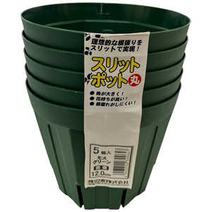 渡辺泰 スリットポット5個入 丸 12.0cm スリットポット5コイリマル 渡辺泰 スリットポット5個入 丸 12.0cm スリットポット5コイリマル