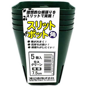 渡辺泰 スリットポット5個入 角 7.5cm スリットポット5コイリカク 渡辺泰 スリットポット5個入 角 7.5cm スリットポット5コイリカク