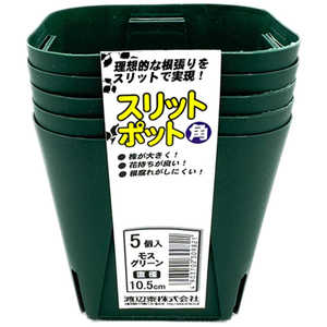 渡辺泰 スリットポット5個入 角 10.5cm スリットポット5コイリカク 渡辺泰 スリットポット5個入 角 10.5cm スリットポット5コイリカク