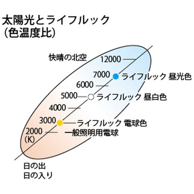 (運賃見積り)(直送品)クロスビー シャックル ねじ込み・バウ 35t G209-53 - 2