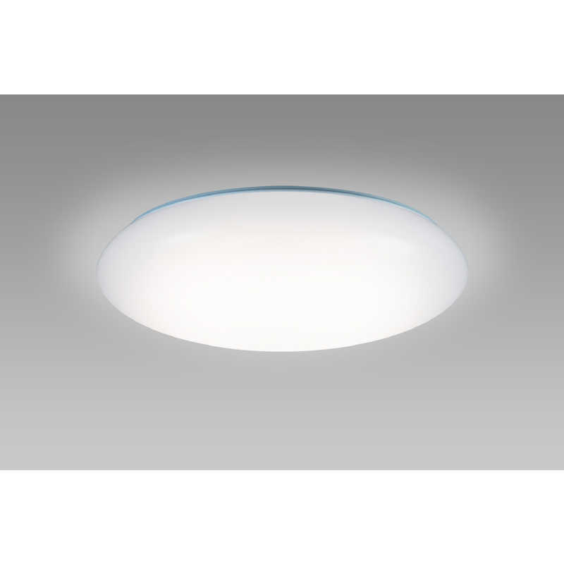 ホタルクス ホタルクス LEDシーリングライト 8畳 昼光色～電球色 リモコン付属  HLDC08301SG HLDC08301SG