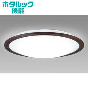 ホタルクス LED照明 シーリングライト 12畳 調光 調色 ホタルック リモコン付属 ダークオーク HLDZ12316SG ホタルクス LED照明 シーリングライト 12畳 調光 調色 ホタルック リモコン付属 ダークオーク HLDZ12316SG