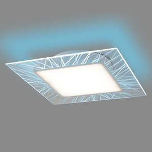 ホタルクス 導光板LEDシーリングライト [12畳 /昼光色 /リモコン付属] HLDC12V001BSG