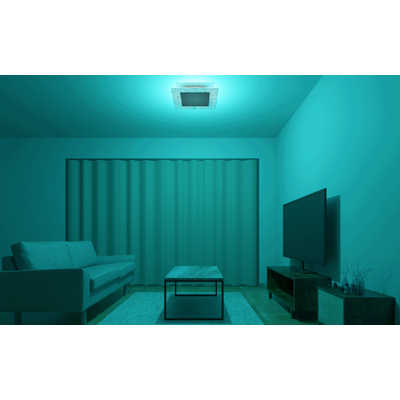 51968987_5