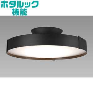 �z�^���N�X LED�Ɩ� �V�[�����O���C�g 12�� �������F HotaluX AURA �ԐڏƖ��t�� �����R���t�� HLDC12A445KSG