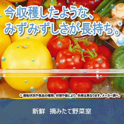 東芝 TOSHIBA 冷蔵庫 FHシリーズ 6ドア フレンチドア(観音開き