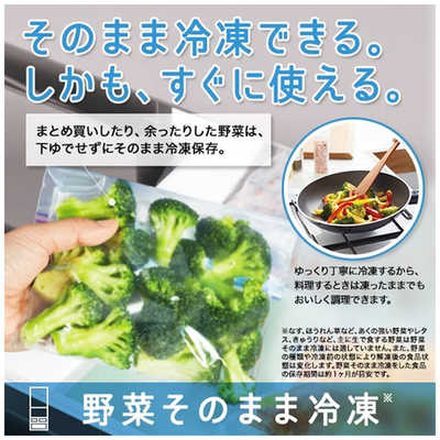 東芝 TOSHIBA 冷蔵庫 VEGETA(ベジータ)GZシリーズ 5ドア 左 東芝 TOSHIBA 冷蔵庫 VEGETA(ベジータ)GZシリーズ 5ドア 左