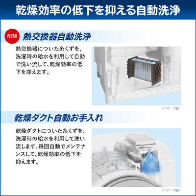 東芝 TOSHIBA ドラム式洗濯乾燥機 (右開き) ZABOON ザブーン 洗濯12.0
