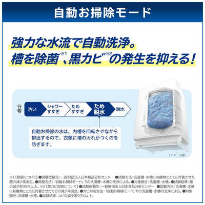 東芝 TOSHIBA 全自動洗濯機 ZABOON ザブーン 洗濯12.0kg 抗菌