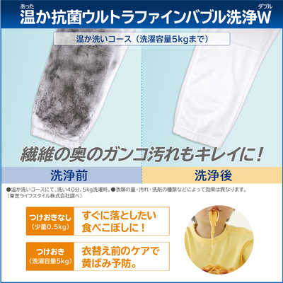 東芝 TOSHIBA 縦型洗濯乾燥機 洗濯10.0kg 乾燥5.0kg ヒーター乾燥(水冷 