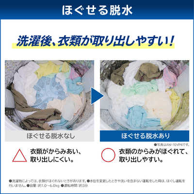 東芝 TOSHIBA 縦型洗濯乾燥機 洗濯10.0kg 乾燥5.0kg ヒーター乾燥(水冷 