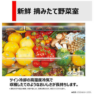 東芝 TOSHIBA 冷蔵庫 6ドア フレンチドア(観音開き) 幅65cm 462L