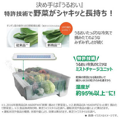 東芝 TOSHIBA 冷蔵庫 6ドア 543L フレンチドア(観音開き) VEGETA