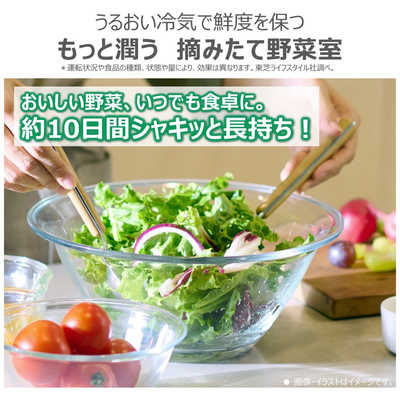 東芝 TOSHIBA 冷蔵庫 6ドア 543L フレンチドア(観音開き) VEGETA 東芝 TOSHIBA 冷蔵庫 6ドア 543L フレンチドア(観音開き) VEGETA