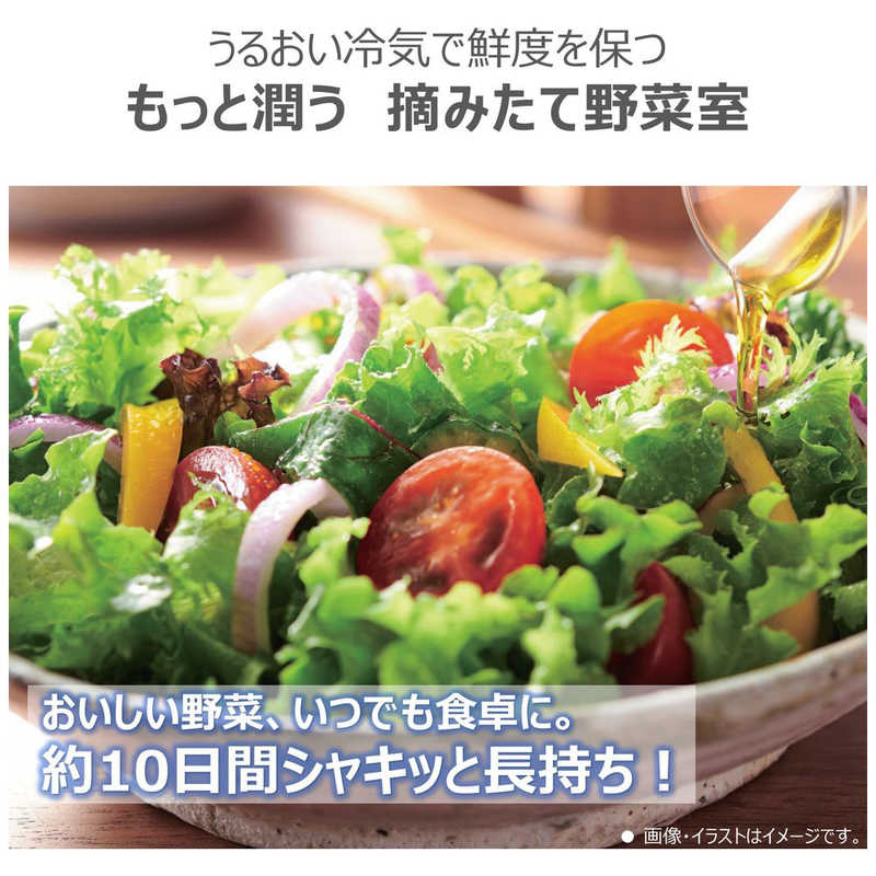東芝　TOSHIBA 東芝　TOSHIBA 冷蔵庫 5ドア 幅60cm 465L VEGETA(ベジータ)GSKシリーズ 左開きタイプ サテンゴールド GR-W470GSKL-EC GR-W470GSKL-EC