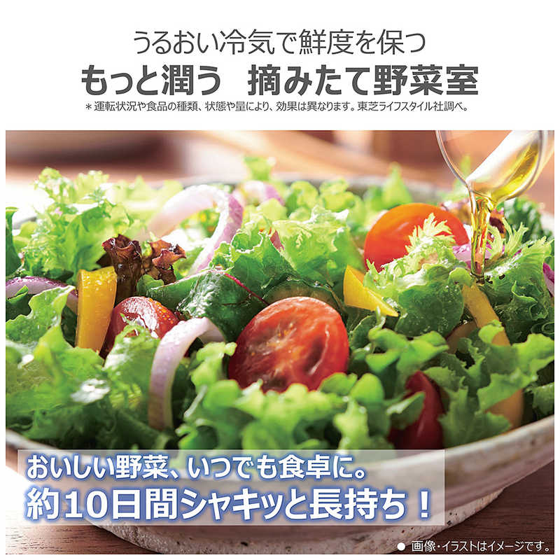 東芝　TOSHIBA 東芝　TOSHIBA 冷蔵庫 5ドア 501L 右開き VEGETA ベジータ GTMシリーズ 幅60cm エクリュホワイト GR-Y500GTM-WS GR-Y500GTM-WS