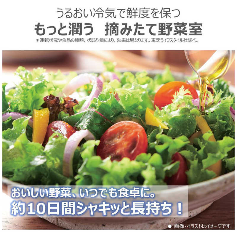 東芝　TOSHIBA 東芝　TOSHIBA 冷蔵庫 5ドア 452L 左開き VEGETA ベジータ GTシリーズ 幅60cm フロストグレージュ GR-Y450GTL-TH GR-Y450GTL-TH