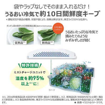 地域限定送料無料　未使用訳あり品【 TOSHIBA 】東芝 501L 5ドア ガラスドア 大型冷蔵庫 タッチオープン 野菜室がまんなか もっと潤う 摘みたて野菜室 GR-T500GZ デンキチWeb / 東芝 TOSHIBA 冷蔵庫 501L 5ドア 右開き VEGETA