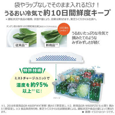 東芝 TOSHIBA 冷蔵庫 5ドア 右開き VEGETA ベジータ GTシリーズ