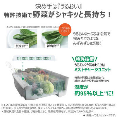 東芝 TOSHIBA 冷蔵庫 6ドア 595L フレンチドア(観音開き) VEGETA