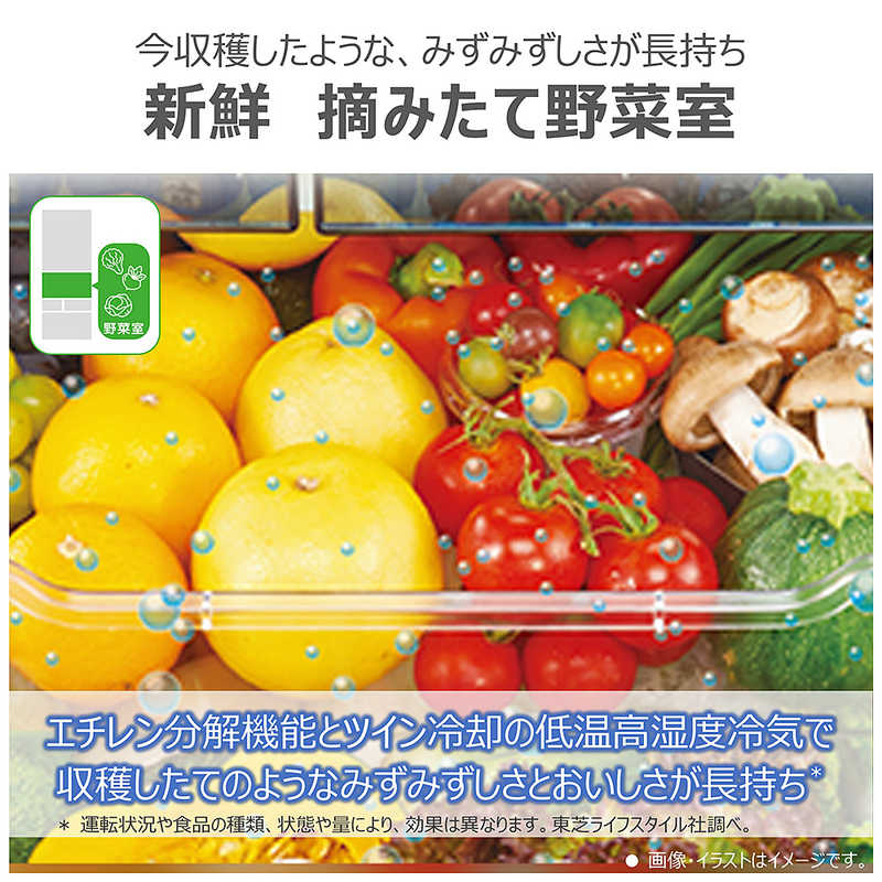 東芝　TOSHIBA 東芝　TOSHIBA 冷蔵庫 6ドア 551L フレンチドア(観音開き) VEGETA ベジータ FHシリーズ 真ん中野菜室 幅68.5cm サテンゴールド GR-A550FH-EC GR-A550FH-EC