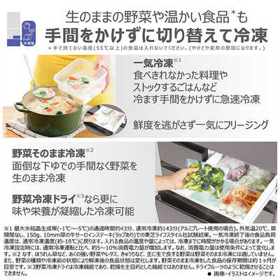 東芝 TOSHIBA 冷蔵庫 6ドア 509L フレンチドア(観音開き) VEGETA