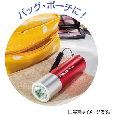 東芝 TOSHIBA ミニカラーLEDライト (85lm) KFL-403M-R の通販