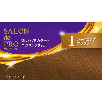 ダリヤ サロンドプロ 泡のヘアカラー・エクストラリッチ(白髪用) 1
