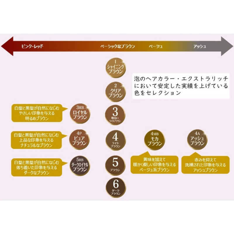 与え ダリヤ ブラウン 5 泡のヘアカラー 医薬部外品 サロンドプロ エクストラリッチ