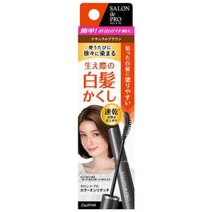 ダリヤ 「サロンドプロ」カラーオンリタッチ 白髪かくしEX ナチュラルブラウン ダリヤ 「サロンドプロ」カラーオンリタッチ 白髪かくしEX ナチュラルブラウン