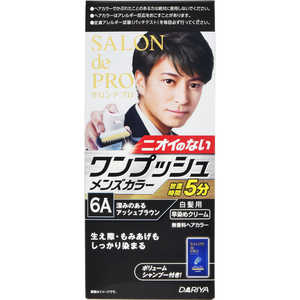 ダリヤ 【サロンドプロ】 ワンプッシュメンズ 6A深みのあるアッシュブラウン ダリヤ 【サロンドプロ】 ワンプッシュメンズ 6A深みのあるアッシュブラウン