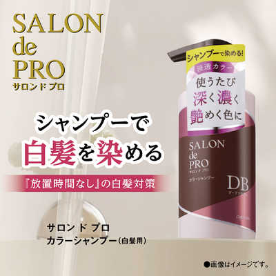 ダリヤ サロンドプロ カラーシャンプーアッシュブラウン 300ml の通販