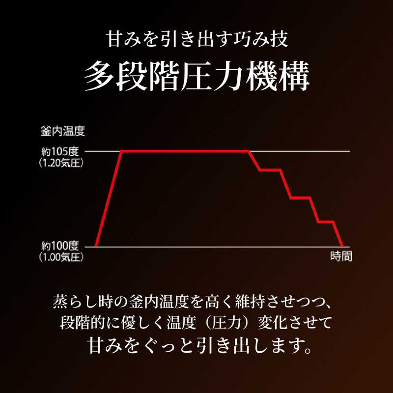 タイガー　TIGER タイガー　TIGER 炊飯器 5.5合 土鍋圧力IH エボニーブラック JPL-T100KG JPL-T100KG