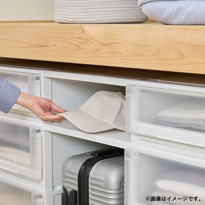 天馬 収納ケース 衣装ケース フィッツケース アドバンス M 幅39×奥行74