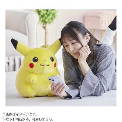 タカラトミー 【再販】ポケモン30周年記念 おかえり！ピカチュウ1/1 の