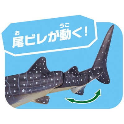 タカラトミー アニア AL-05 ジンベエザメ(水に浮くVer.) の通販
