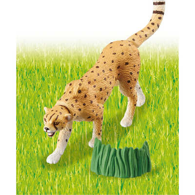 タカラトミー アニア AS-13 チｰタｰ(ワイルドVer.) の通販